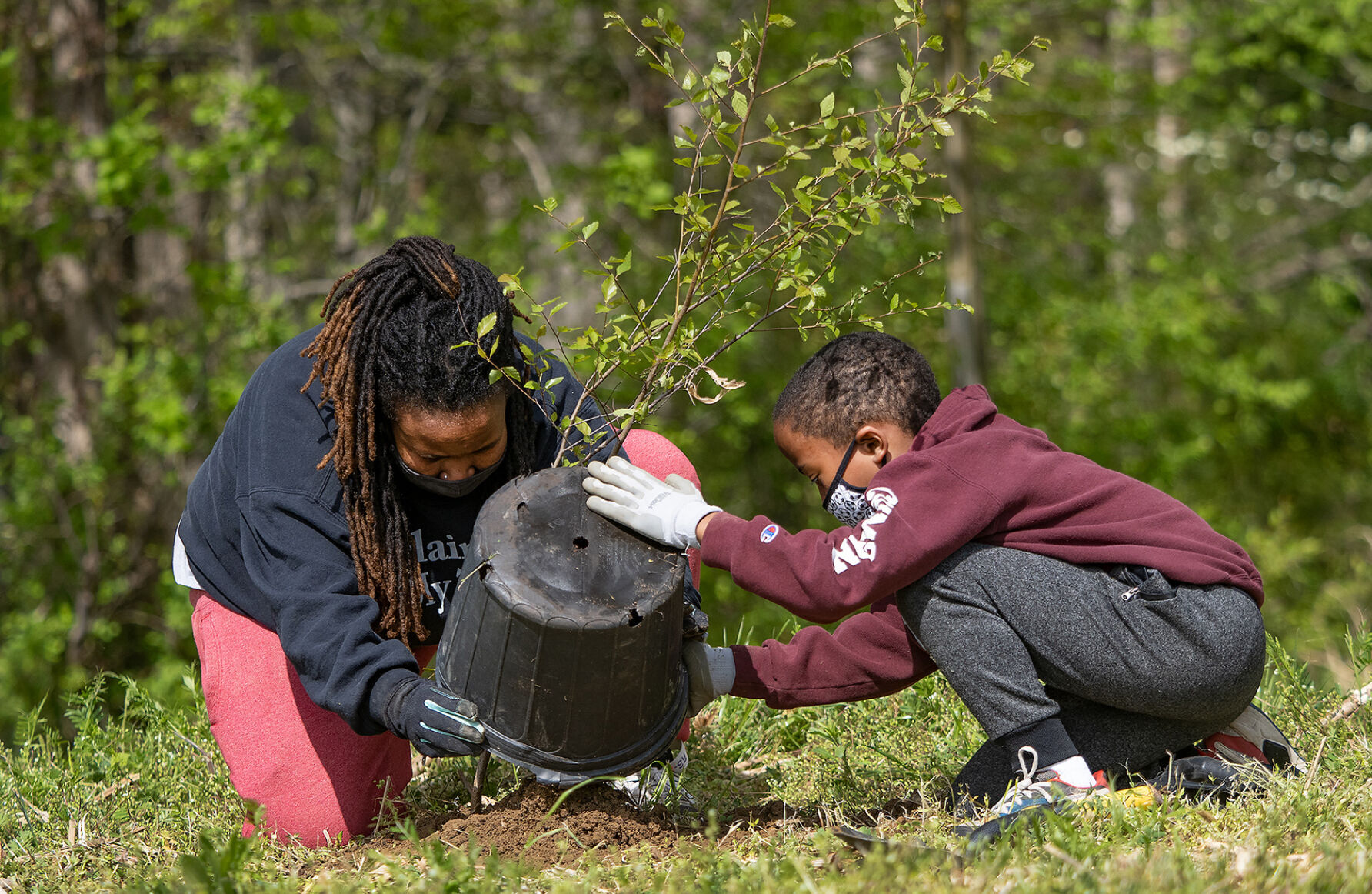 Tree planting, Choptank River watershed, MD